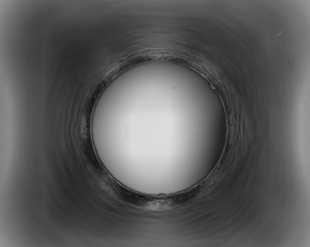 X0000085220700200703090828