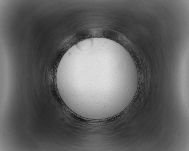 X0000085220702200703090828