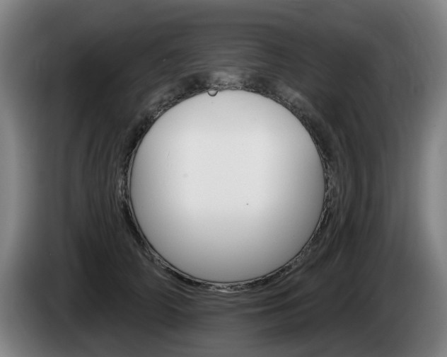 X0000085220706200703090828