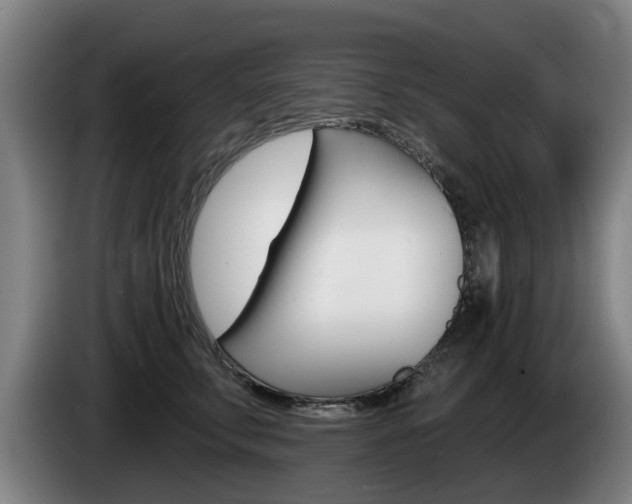 X0000085220711200703090828