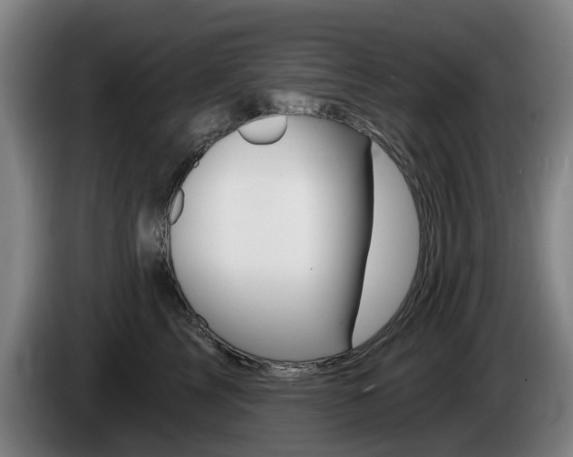X0000085220713200703090828
