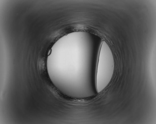 X0000085220715200703090828