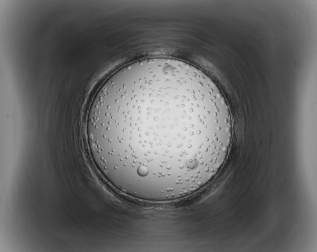 X0000085220721200703090827