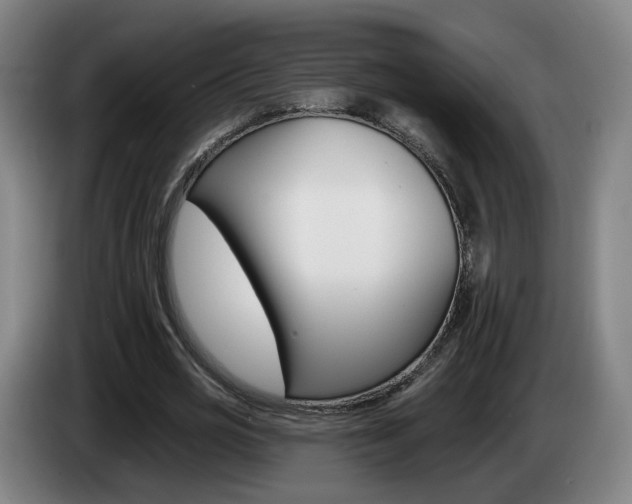 X0000085220725200703090827