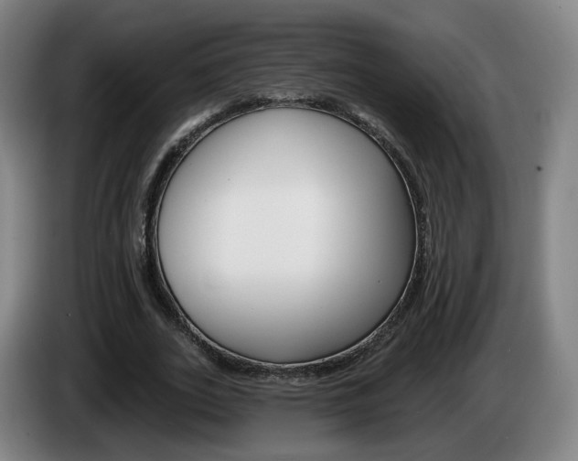 X0000085220727200703090827