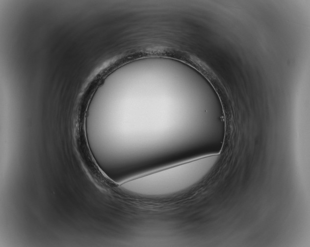 X0000085220728200703090827