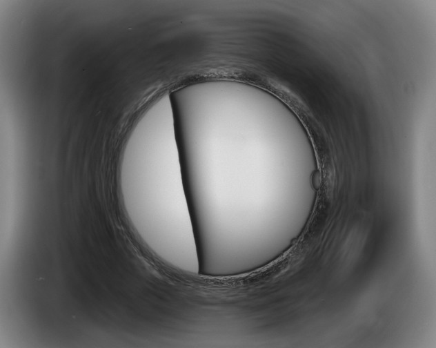 X0000085220729200703090827