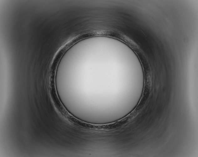 X0000085220730200703090827