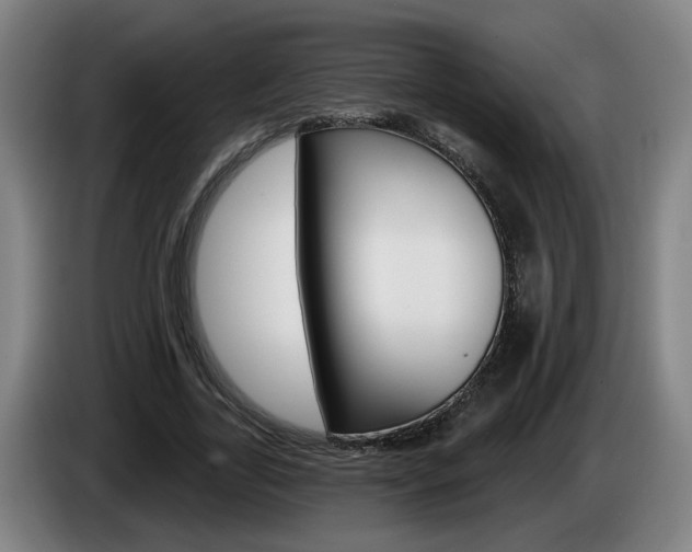 X0000085220731200703090827