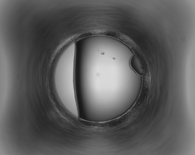X0000085220732200703090827