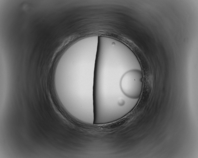 X0000085220734200703090827