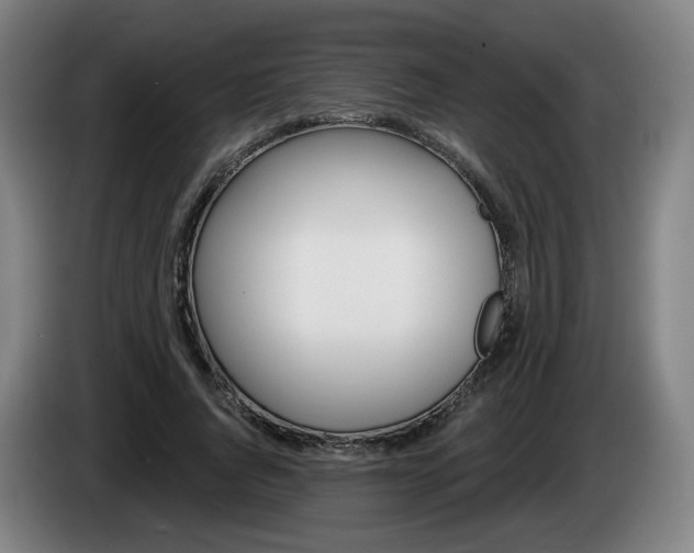 X0000085220736200703090827