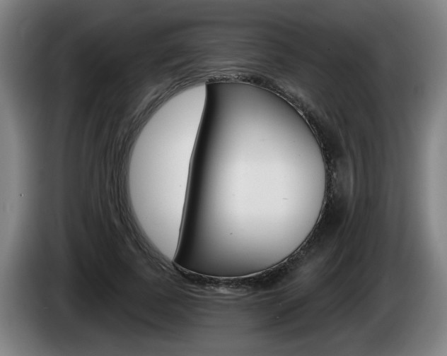 X0000085220739200703090827