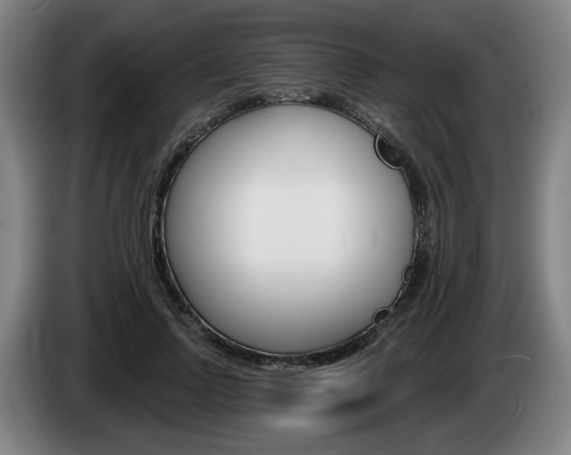 X0000085220742200703090827