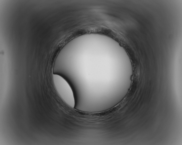 X0000085220746200703090827