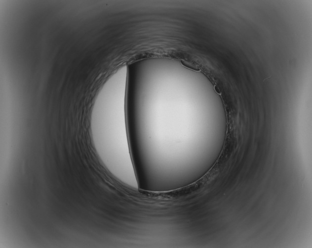 X0000085220752200703090828