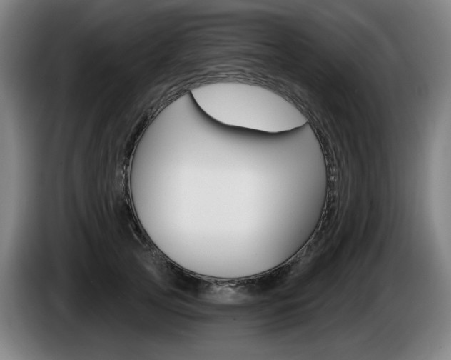 X0000085220753200703090828