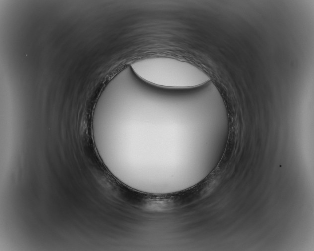 X0000085220754200703090828