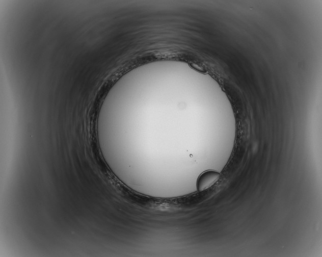 X0000085220755200703090828