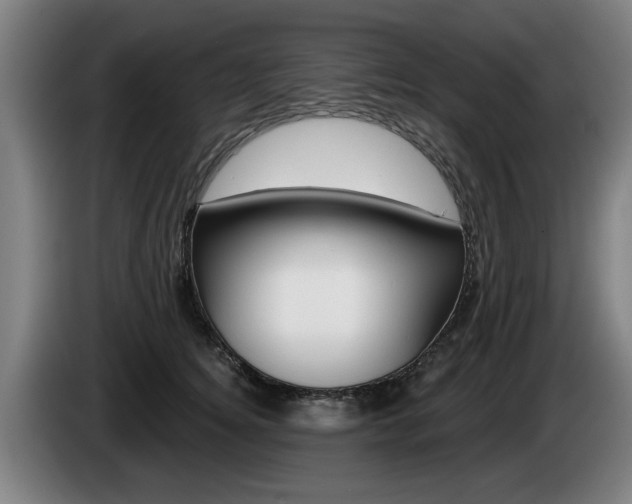 X0000085220756200703090828