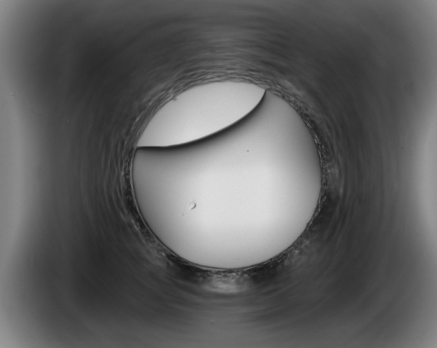 X0000085220757200703090828