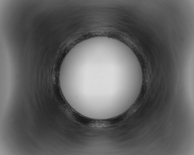 X0000085220758200703090828