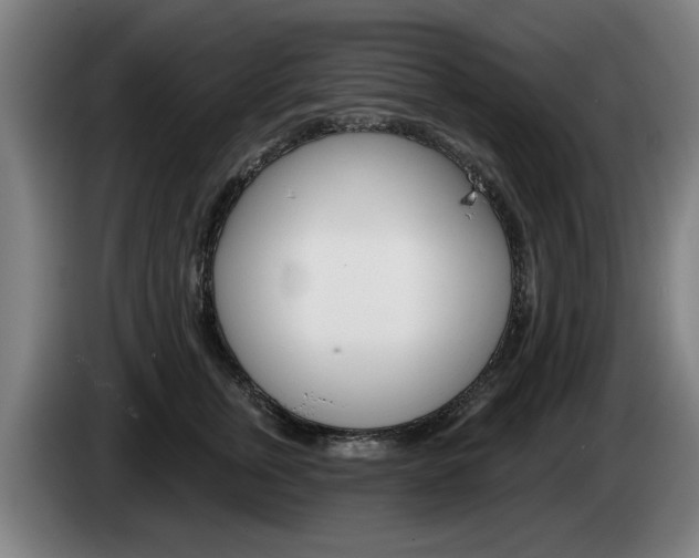 X0000085220759200703090828