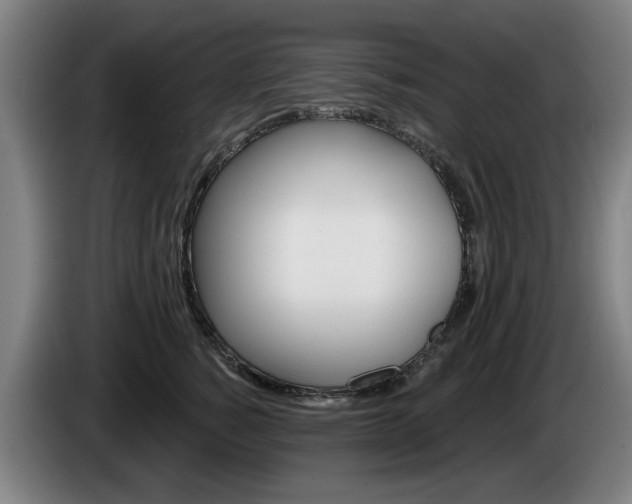 X0000085220760200703090828