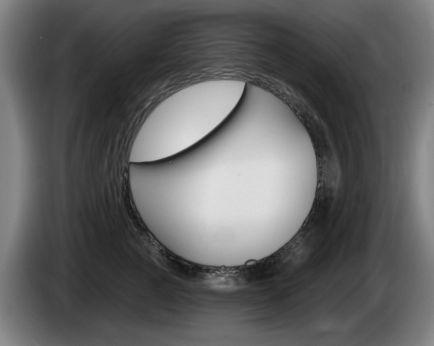 X0000085220761200703090828