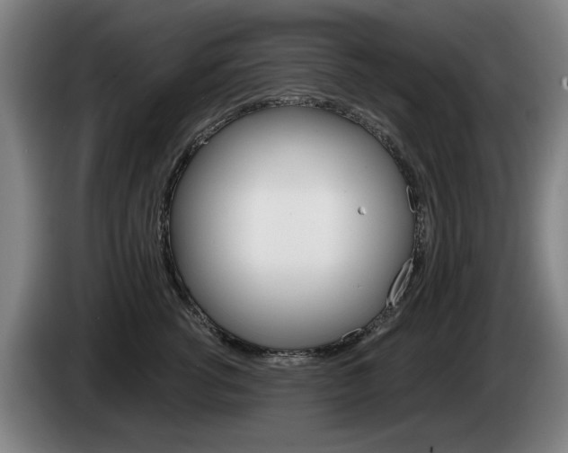 X0000085220762200703090828