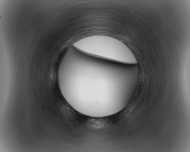 X0000085220763200703090828