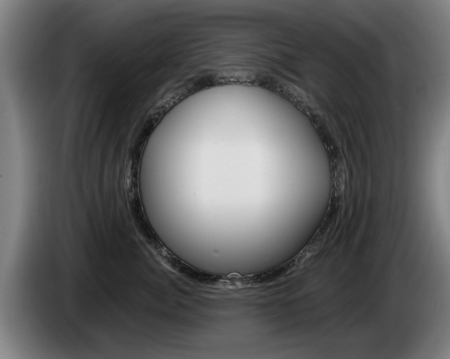 X0000085220764200703090828