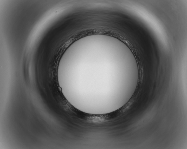 X0000085220765200703090828