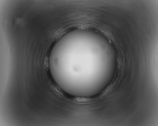 X0000085220766200703090828