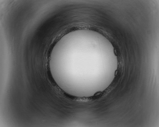 X0000085220767200703090828