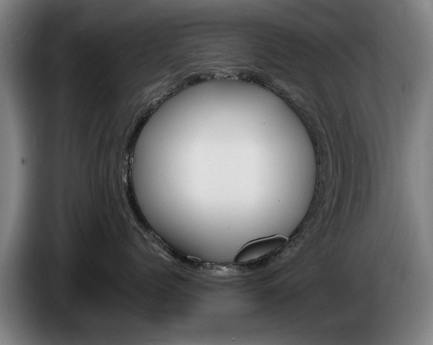 X0000085220768200703090828