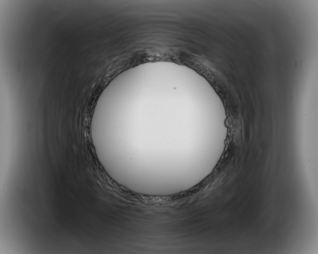 X0000085220770200703090827