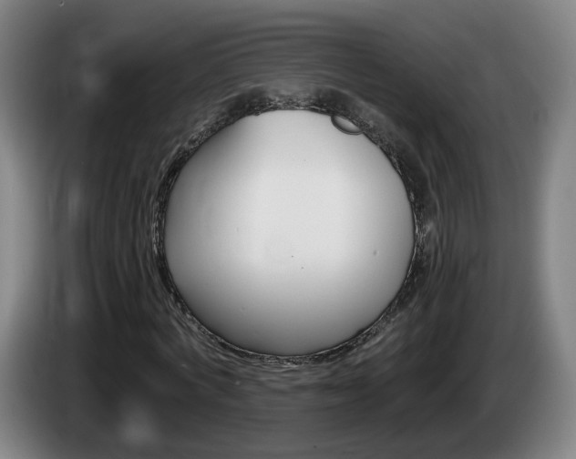 X0000085220772200703090827