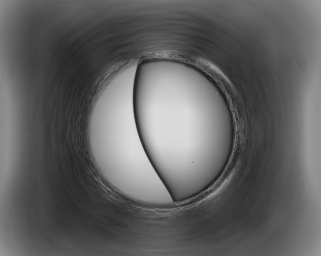 X0000085220777200703090827