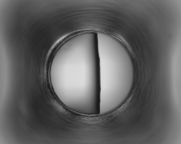 X0000085220780200703090827