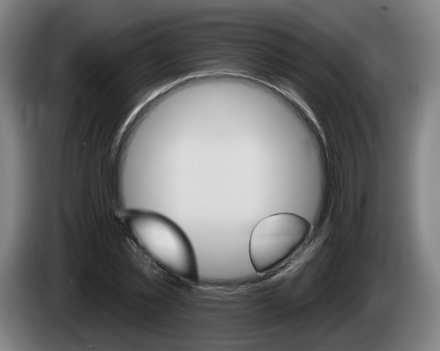 X0000085220781200703090827
