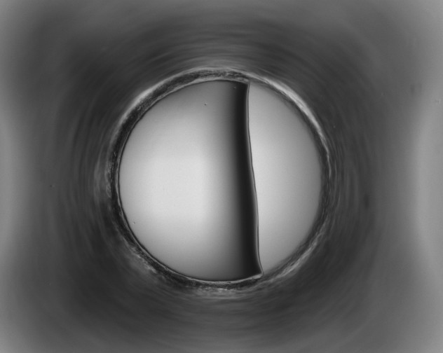 X0000085220783200703090827