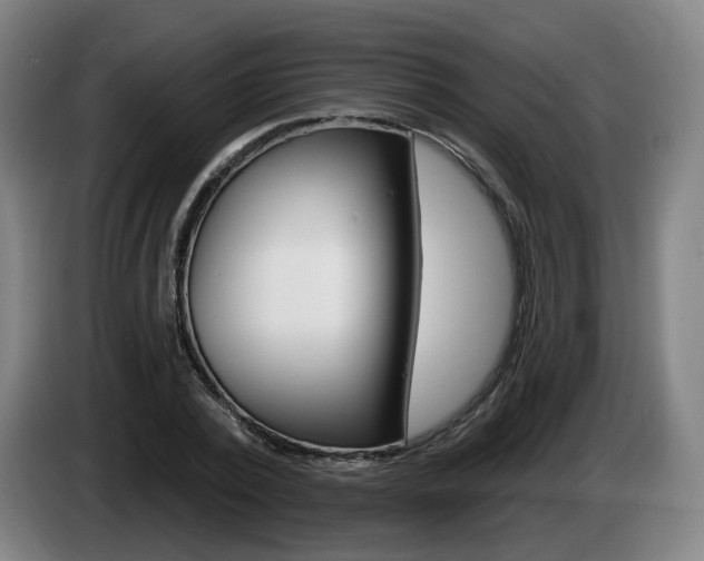 X0000085220784200703090827
