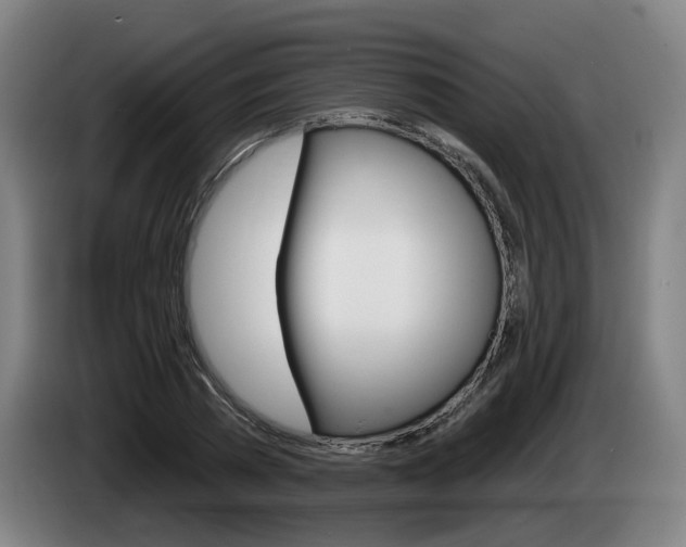 X0000085220785200703090827