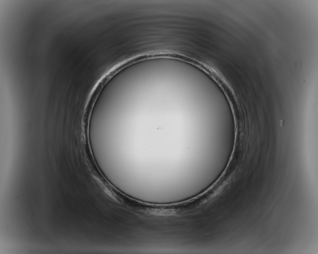 X0000085220789200703090827