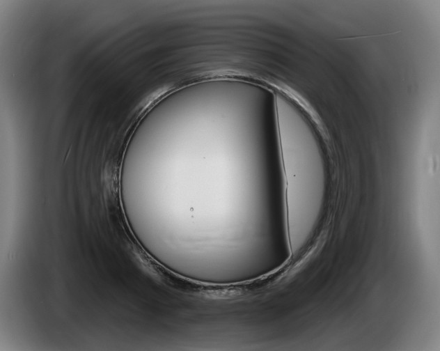 X0000085220793200703090827