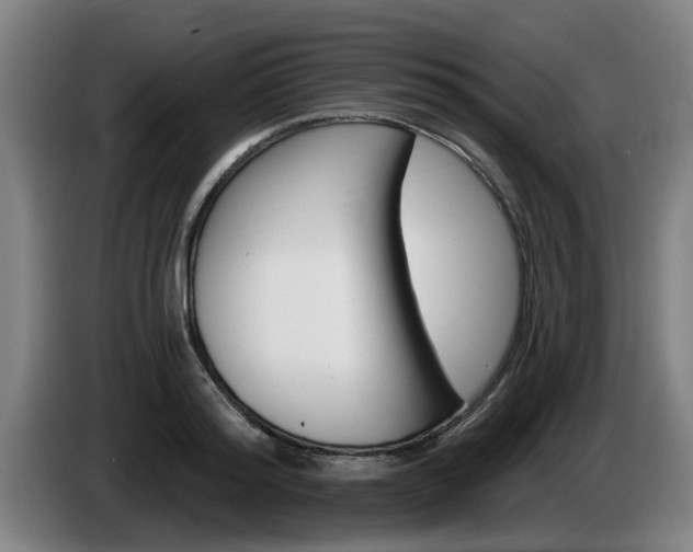 X0000085220796200703090827