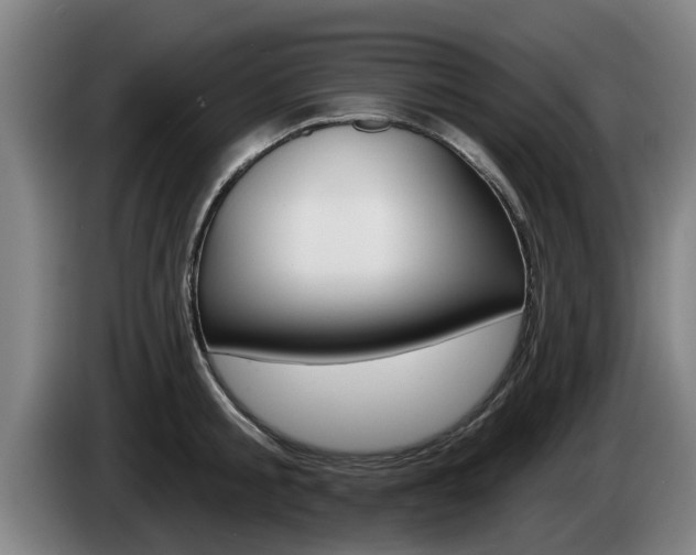 X0000085220805200703090827
