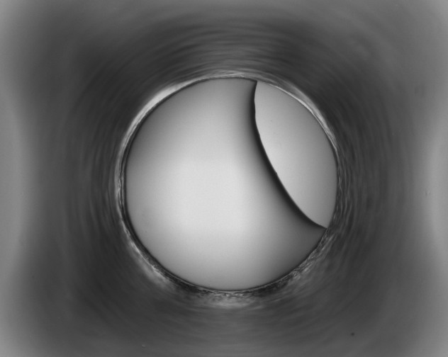 X0000085220811200703090827
