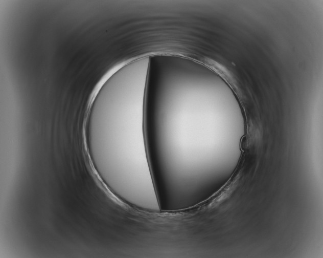 X0000085220812200703090827